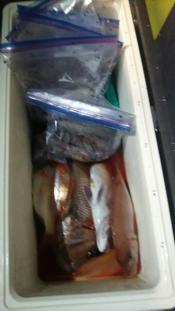 f:id:big1kaito:20171015075233j:image