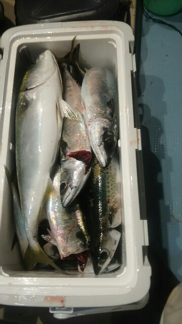 f:id:big1kaito:20171029111021j:image