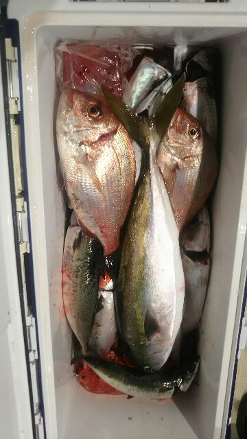 f:id:big1kaito:20171029111031j:image