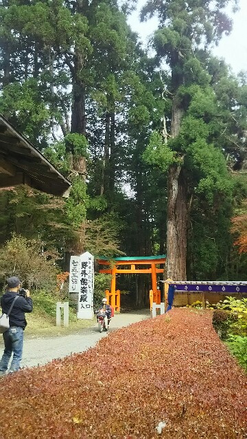 f:id:big1kaito:20171102114446j:image f:id:big1kaito:20171102114446j:image