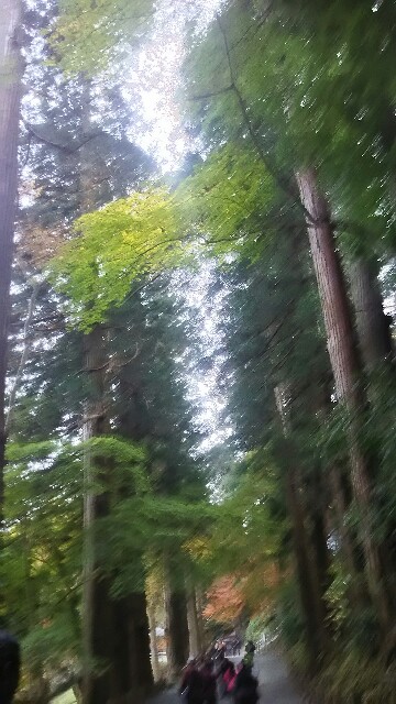 f:id:big1kaito:20171102114651j:image f:id:big1kaito:20171102114651j:image