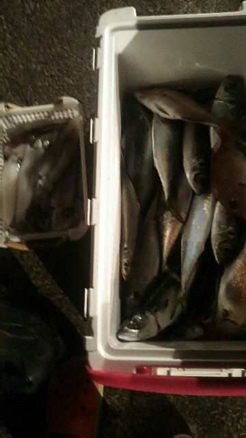 f:id:big1kaito:20171126094948j:image