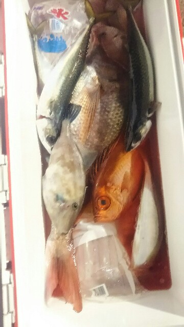 f:id:big1kaito:20171126095012j:image