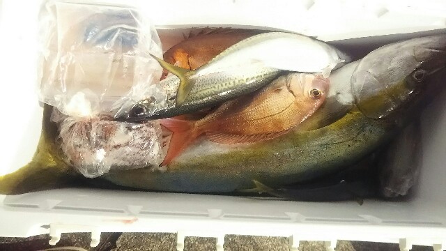 f:id:big1kaito:20171126095043j:image