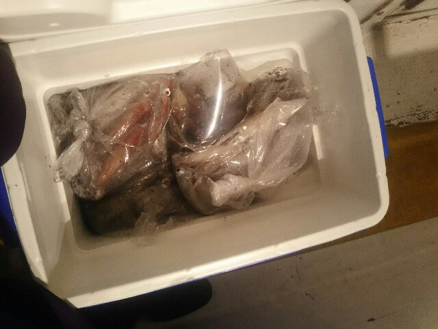 f:id:big1kaito:20180901084038j:image