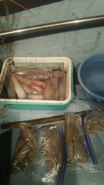 f:id:big1kaito:20190721024123j:image