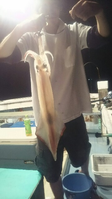 f:id:big1kaito:20190726033452j:image