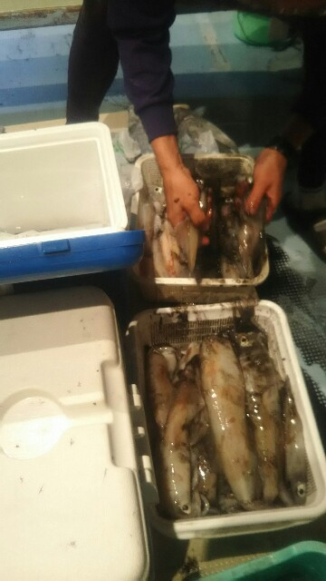 f:id:big1kaito:20190726034049j:image