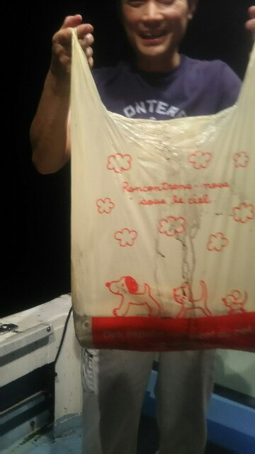 f:id:big1kaito:20190726034100j:image