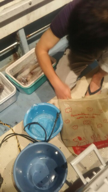 f:id:big1kaito:20190726034123j:image