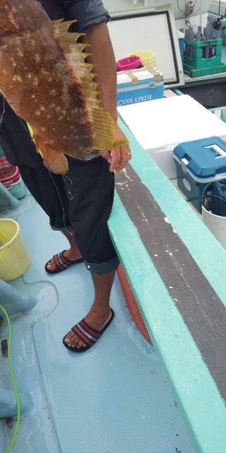 f:id:big1kaito:20190828133306j:image