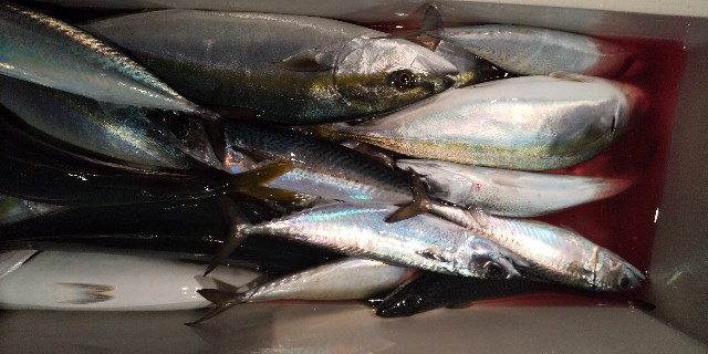 f:id:big1kaito:20191221211101j:image