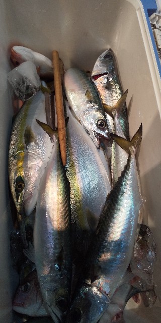 f:id:big1kaito:20191221211112j:image