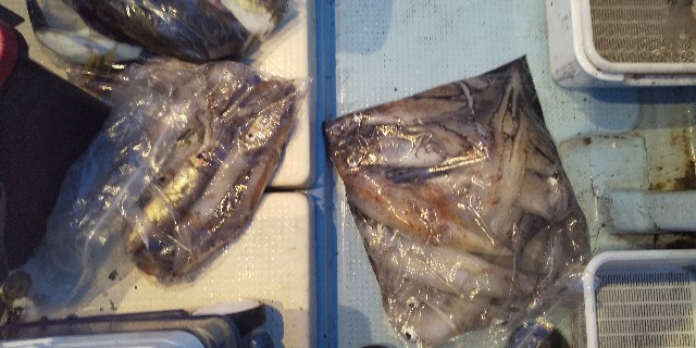 f:id:big1kaito:20210509084009j:image