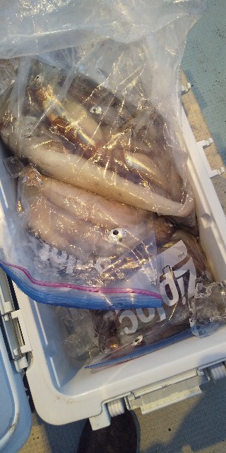 f:id:big1kaito:20210509084023j:image