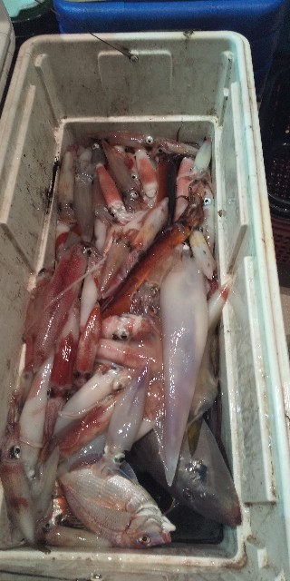 f:id:big1kaito:20210721121519j:image