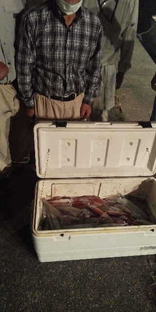 f:id:big1kaito:20210721121527j:image