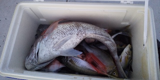 f:id:big1kaito:20211105205021j:image