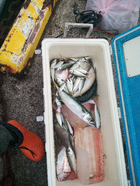 f:id:big1kaito:20221011204823j:image