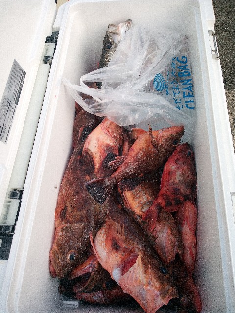 f:id:big1kaito:20230330193312j:image