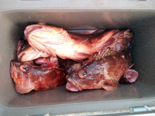 f:id:big1kaito:20230330193322j:image