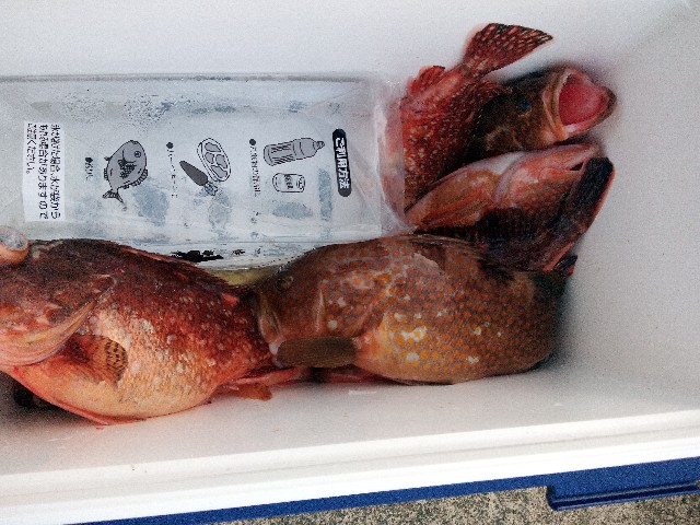 f:id:big1kaito:20230330193332j:image