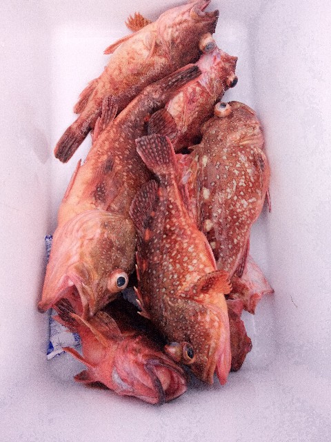 f:id:big1kaito:20230330193410j:image