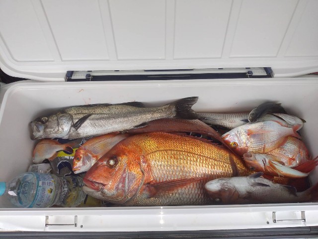 f:id:big1kaito:20230414194629j:image