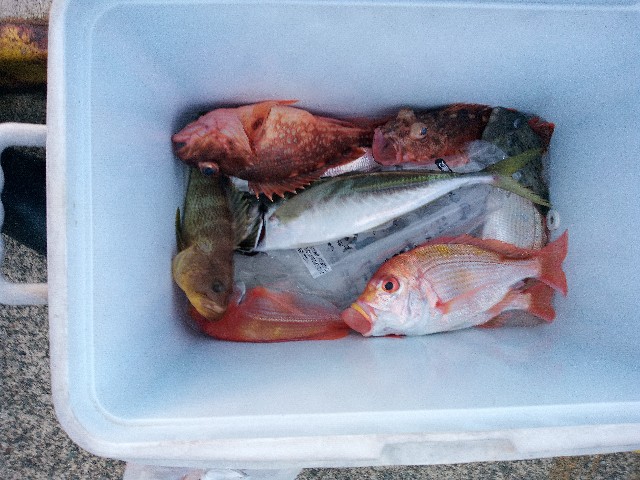 f:id:big1kaito:20230427185508j:image