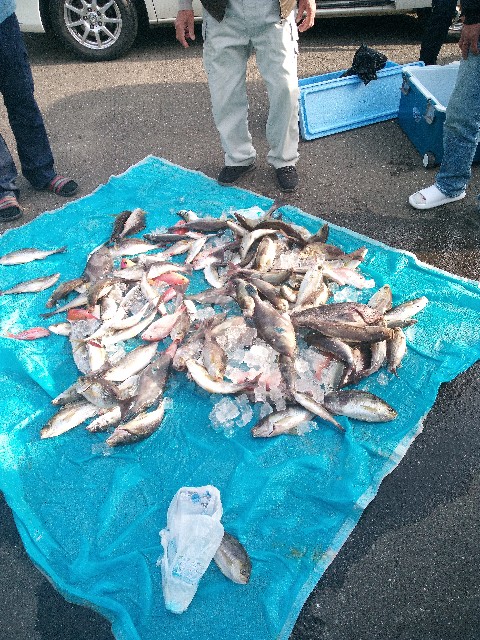 f:id:big1kaito:20230510184933j:image