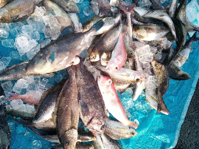 f:id:big1kaito:20230510184945j:image