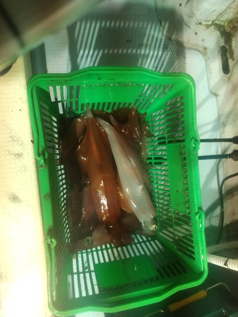 f:id:big1kaito:20230518100457j:image