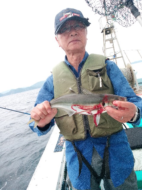 f:id:big1kaito:20230528170752j:image