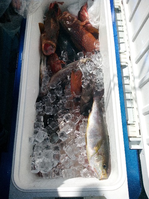 f:id:big1kaito:20230812193035j:image