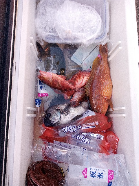 f:id:big1kaito:20230812193056j:image