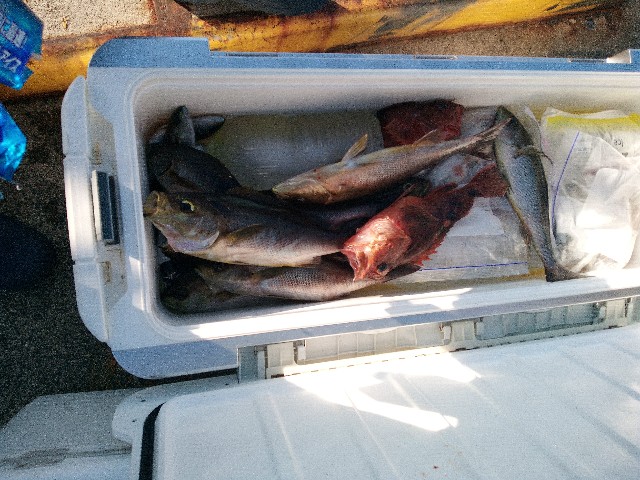 f:id:big1kaito:20230812193106j:image