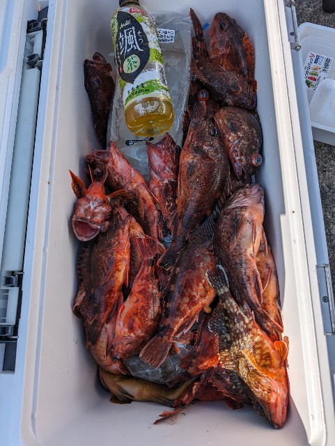 f:id:big1kaito:20240425194621j:image