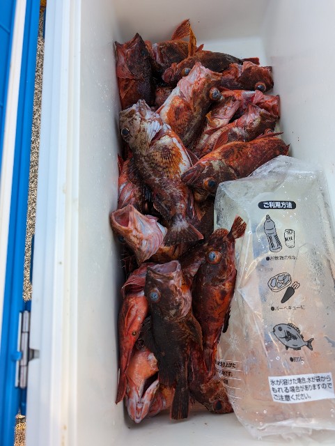 f:id:big1kaito:20240425194636j:image