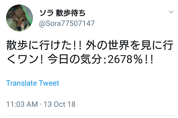 f:id:big_ship_cruise:20181017115209p:plain f:id:big_ship_cruise:20181017115209p:plain