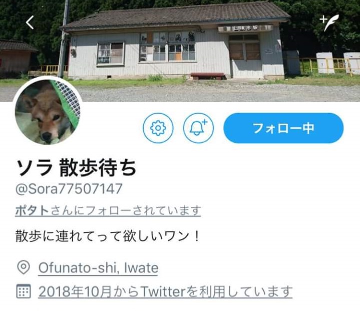f:id:big_ship_cruise:20181017115314j:plain f:id:big_ship_cruise:20181017115314j:plain
