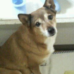 f:id:bigafrodogg:20200919205951j:plain