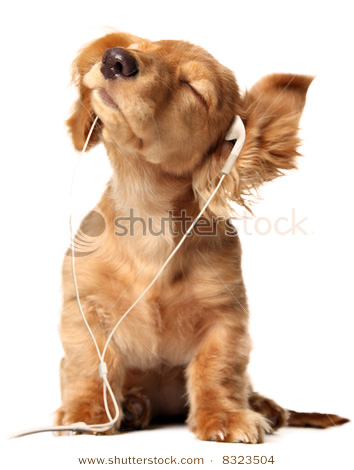 f:id:bigbig-apple:20120403053438j:image:w120 f:id:bigbig-apple:20120403053438j:image:w120