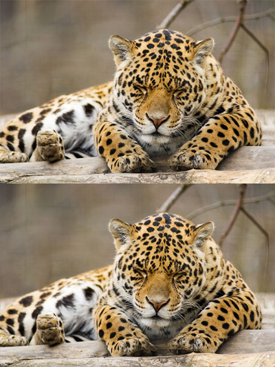 f:id:bigbig-apple:20120404115452j:image:w130 f:id:bigbig-apple:20120404115452j:image:w130