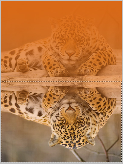 f:id:bigbig-apple:20120404125624j:image:w130 f:id:bigbig-apple:20120404125624j:image:w130