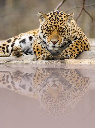 f:id:bigbig-apple:20120404130635j:image:w150 f:id:bigbig-apple:20120404130635j:image:w150