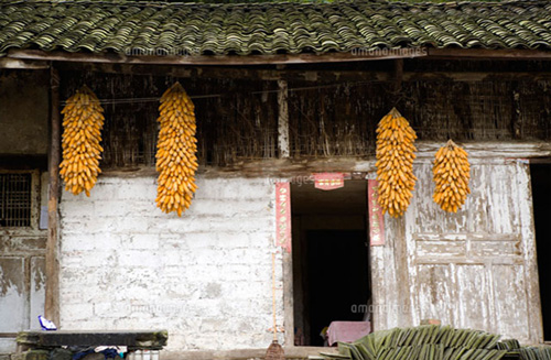 f:id:bigbig-apple:20120405095820j:image:w250 f:id:bigbig-apple:20120405095820j:image:w250