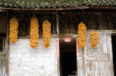 f:id:bigbig-apple:20120405100306j:image:w250 f:id:bigbig-apple:20120405100306j:image:w250