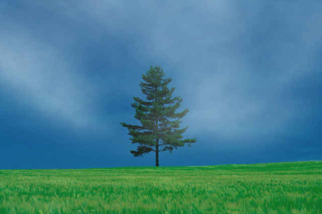 f:id:bigbig-apple:20120418120336j:image:w230 f:id:bigbig-apple:20120418120336j:image:w230