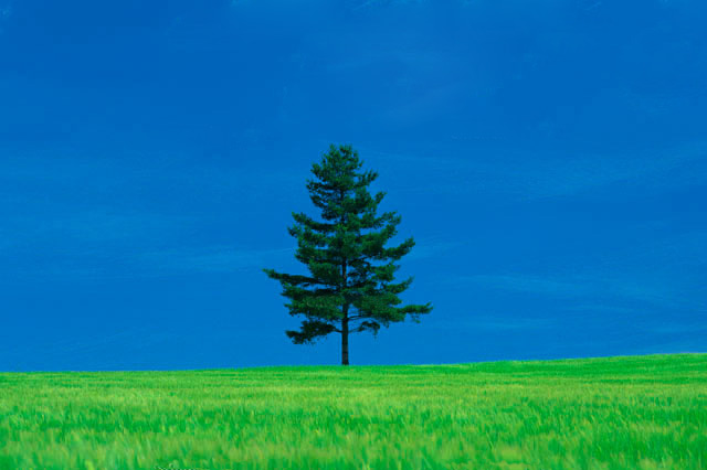 f:id:bigbig-apple:20120418120338j:image:w230 f:id:bigbig-apple:20120418120338j:image:w230