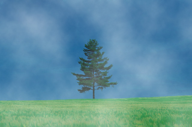 f:id:bigbig-apple:20120418122143j:image:w200 f:id:bigbig-apple:20120418122143j:image:w200